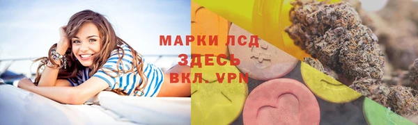 прущие грибы Касимов